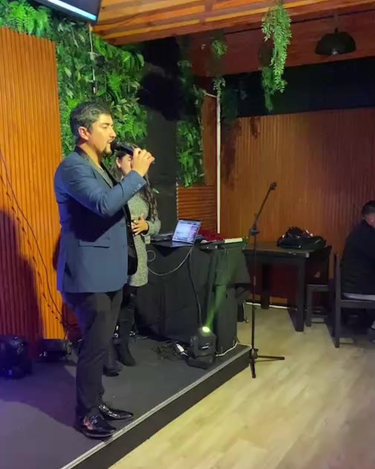 Cantante en el escenario durante un show en vivo
